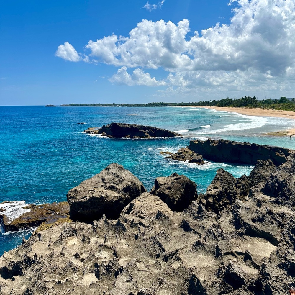 Meet your seller/buyer!